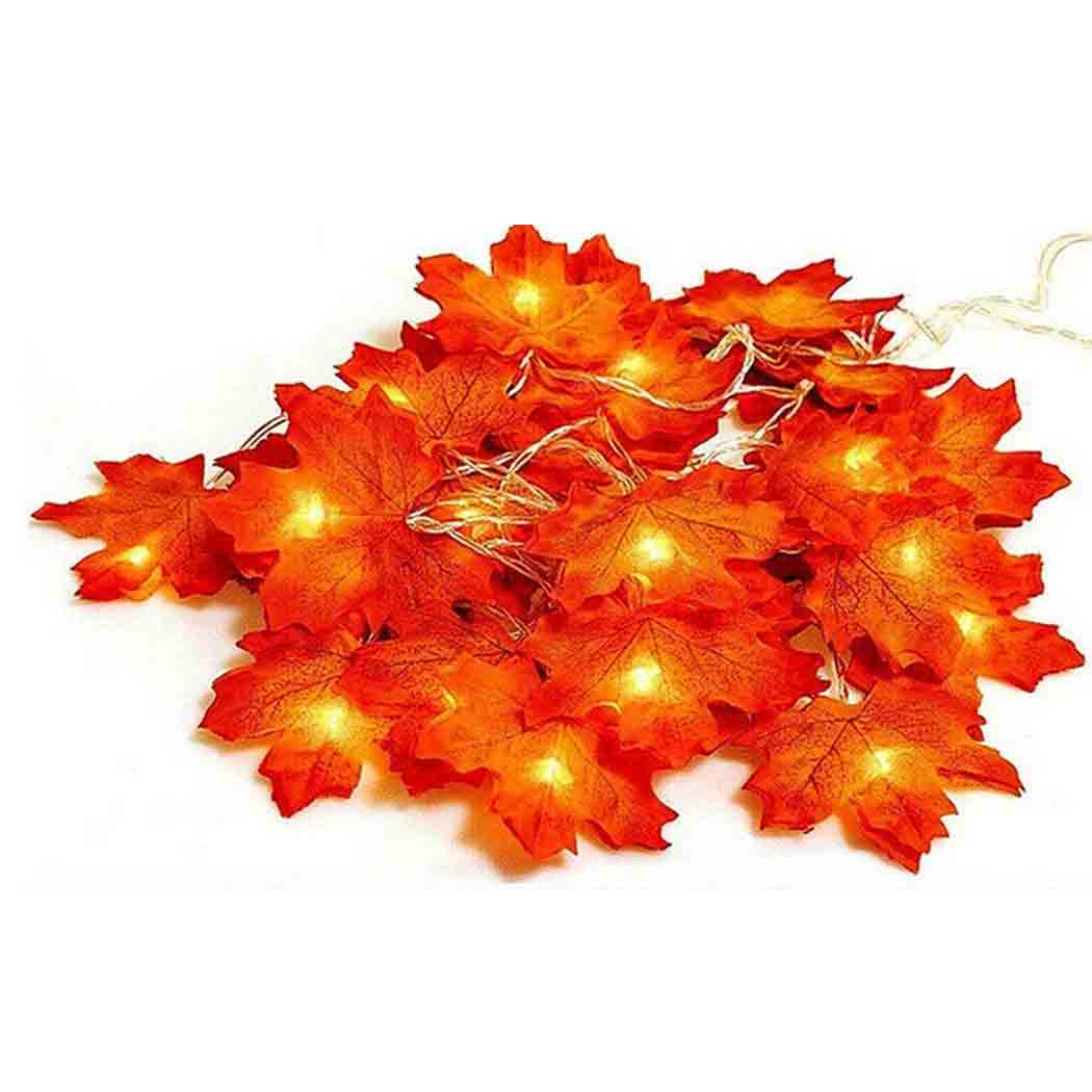 Maple Leaf light